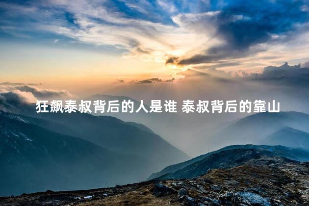 狂飙泰叔背后的人是谁 泰叔背后的靠山